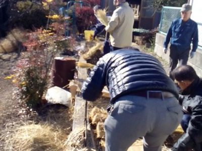 土曜日の自然の玉手箱のしめ縄作りの練習と、藁選りを昨日今日の2日で終了（*’‐’*)♪